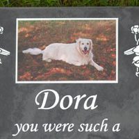 Inset coloured aluminium plaque.