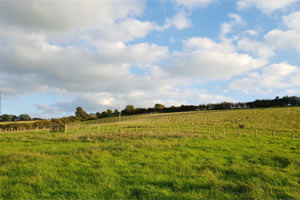 Barnstaple Green Burial Site.