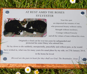 Cat memorial plaque in full colour. Cat memorial plaque in full colour.