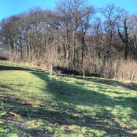 Devon Countryside Green Burial