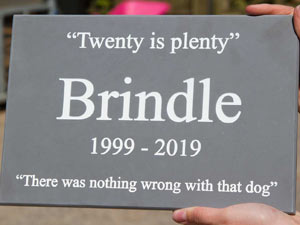 Slate memorial for a dog - Brindle. Slate memorial for a dog - Brindle.