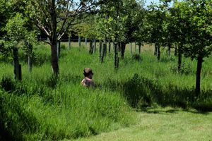 Henley-On-Thames Woodland Burial Ground