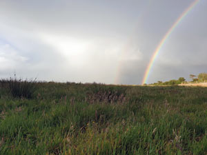 Pembrokeshire Natural Burial Ground