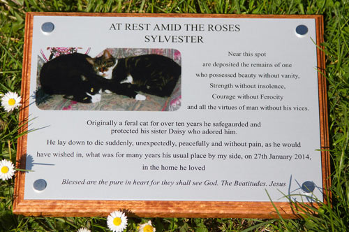 Full colour cat memorial. Full colour cat memorial.