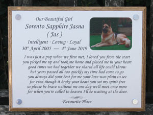 Dog memorial in full colour. Dog memorial in full colour.