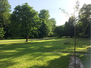Natural burial ground at Michael’s Wood