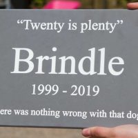 Engraved stone like corian plaques.