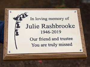 Pretty brass plaque on a backing board. Pretty brass plaque on a backing board.