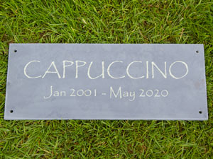 Slate pet memorial with lichen green lettering. Slate pet memorial with lichen green lettering.