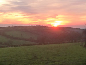 South Hams Nutural Burial Ground