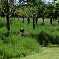 What do I need to ask when considering a Natural Burial?