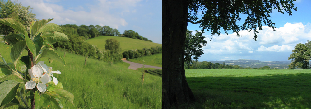 Natural burials sites in the UK. 