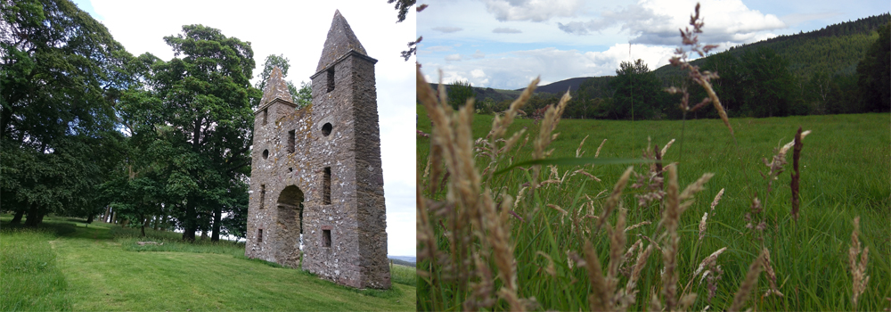 Photographs from a selection of Natural burial sites in the UK.