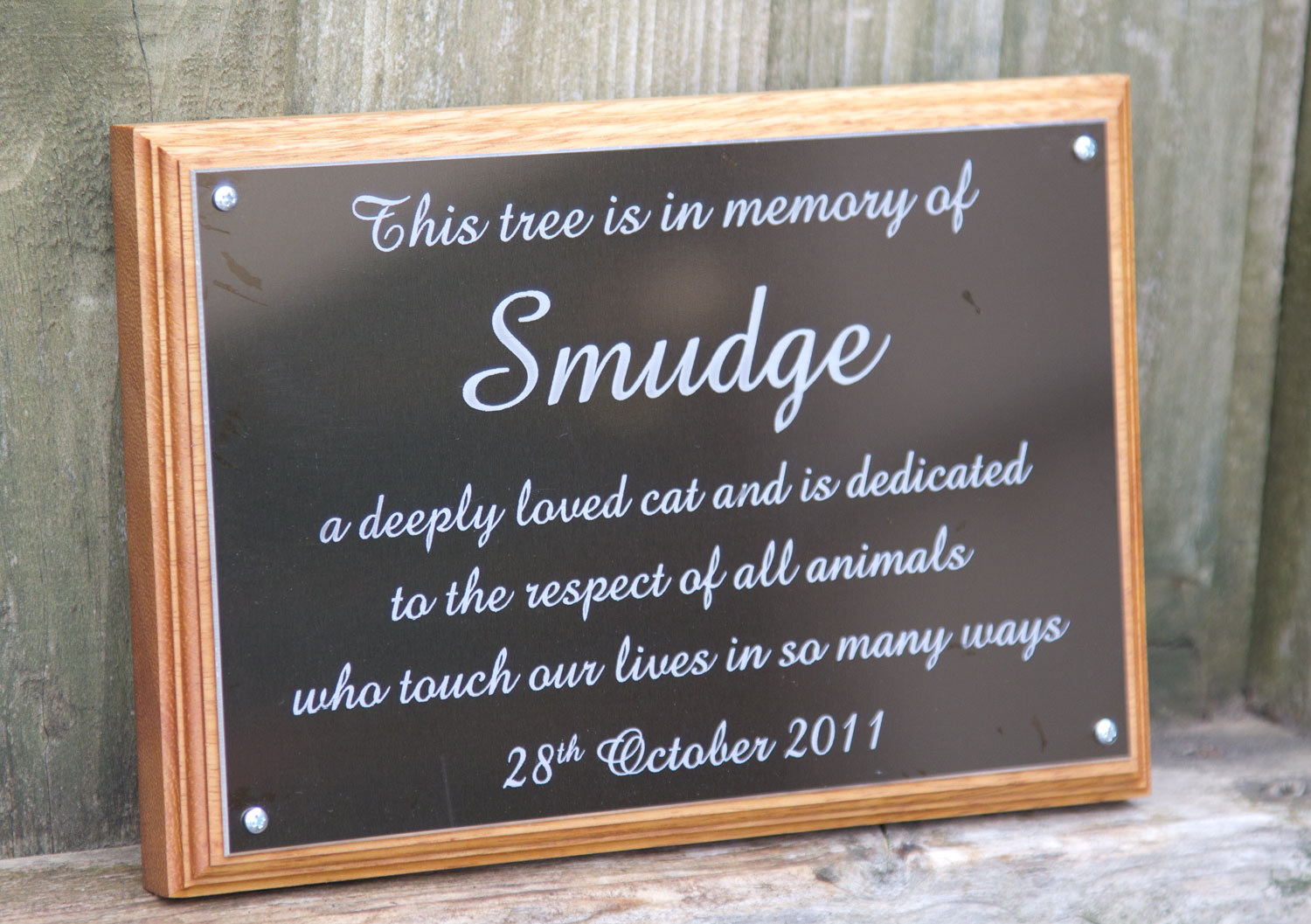 cat-memorial-plaque Cat Tree memorial