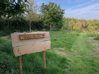 Mole Valley Green Burial Ground based in South Molton, North Devon.