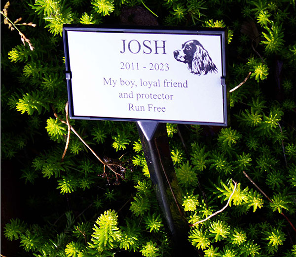 dog-memorial All-in-one Plaque holders make for easy pet memorials, UK Memorials.