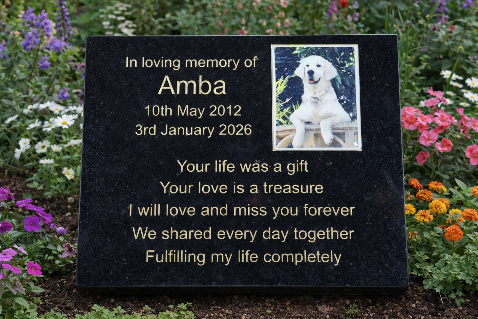 What To Do When a Pet Dies: A Gentle Guide for Pet Owners