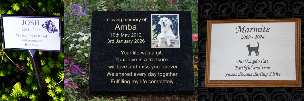 pet-memorials Pet memorials for dog, cats, horses and more.